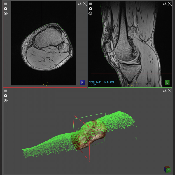 Vision and Endoscopy - Image 5
