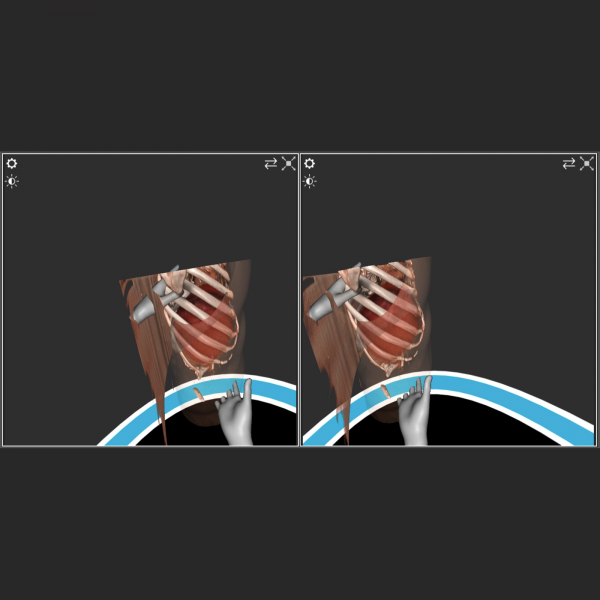Vision and Endoscopy - Image 3